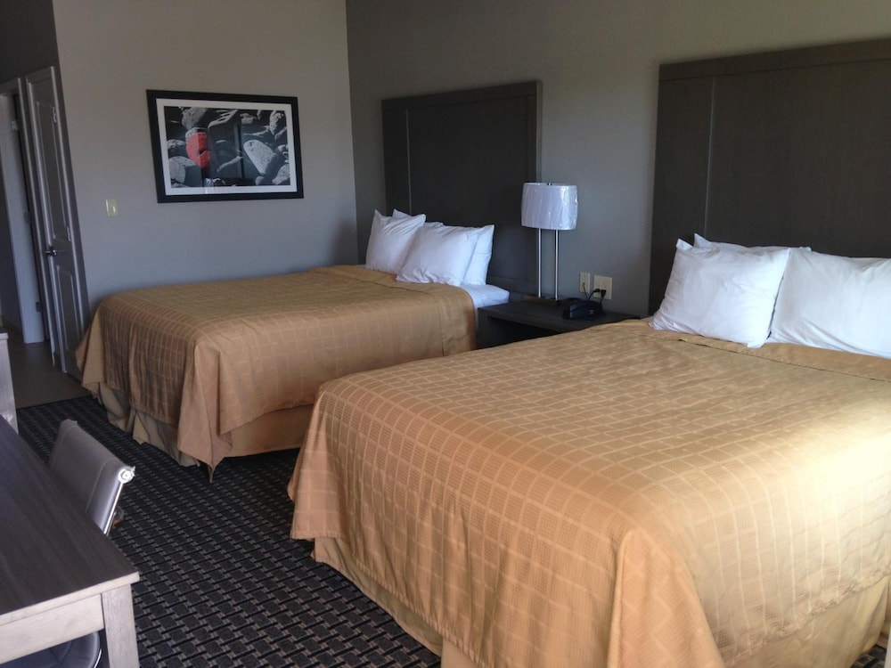 Quality Inn Suites Cotulla 10/49