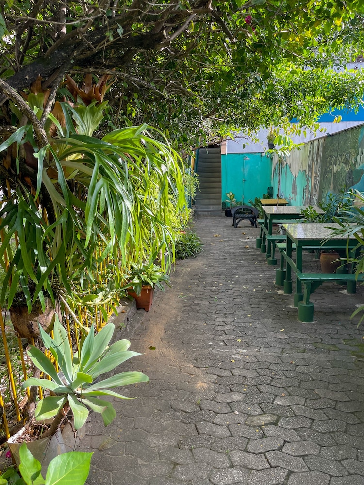 Onça Da Praia Hostel 45/50