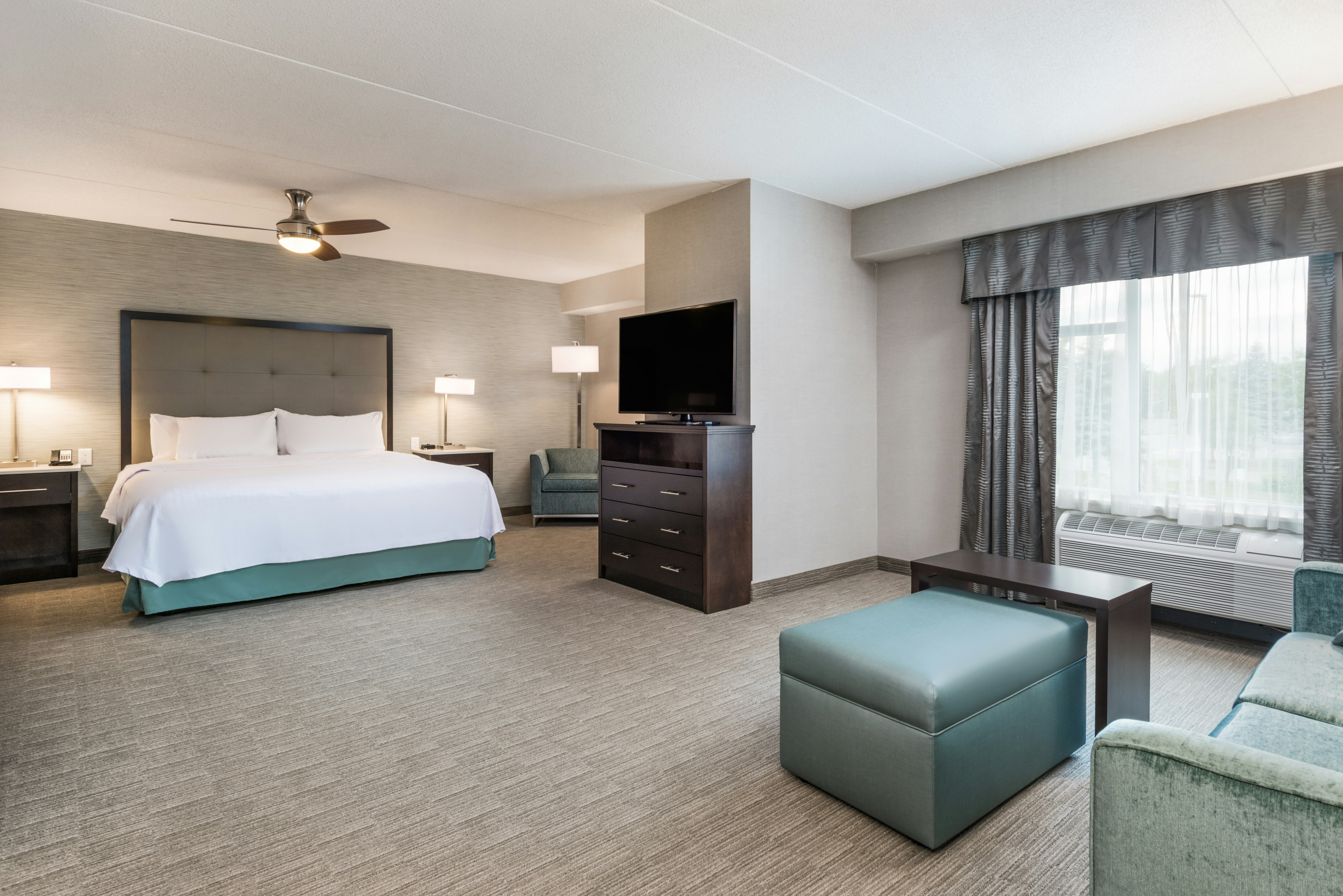 Studio, King Bed, Accessible