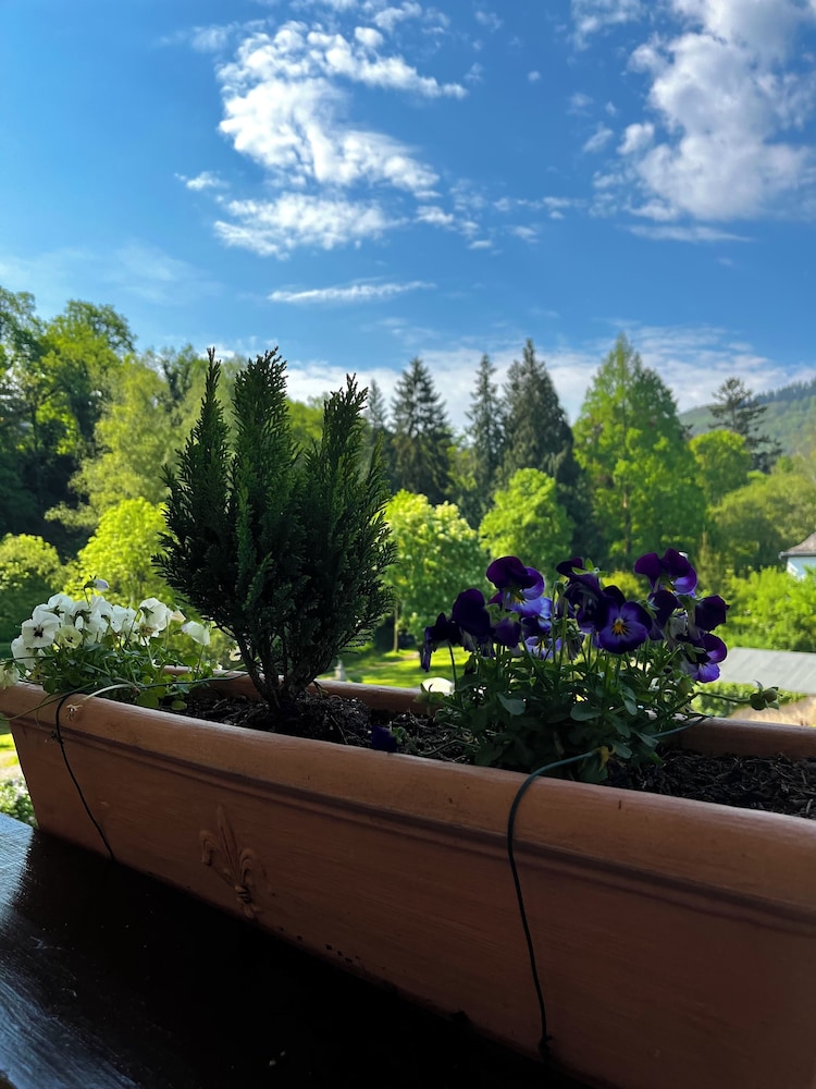 PARK VILLA zentral am Mittelrhein 4/48