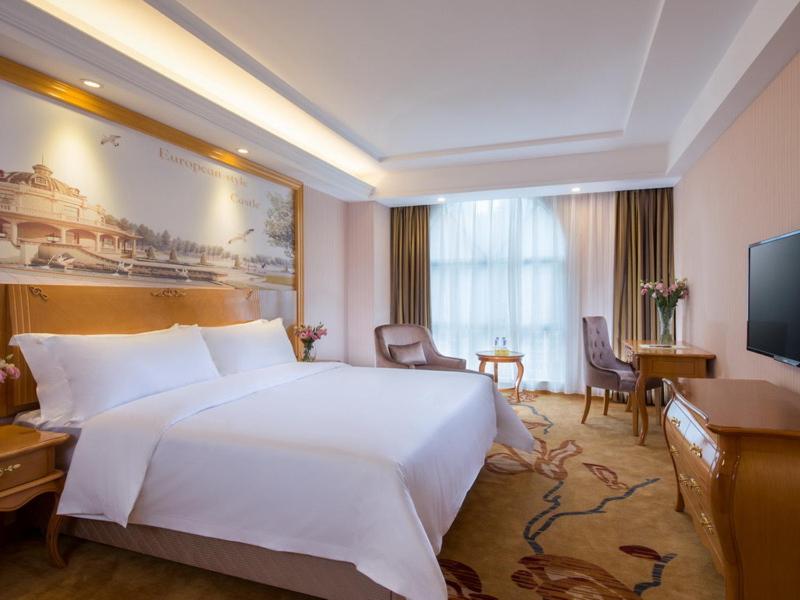 Vienna Hotel (Shenzhen Luofang) 27/37