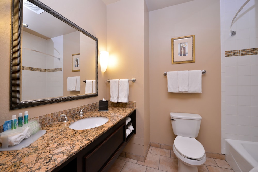 Holiday Inn Express Hotel & Suites Wichita Falls 18/52