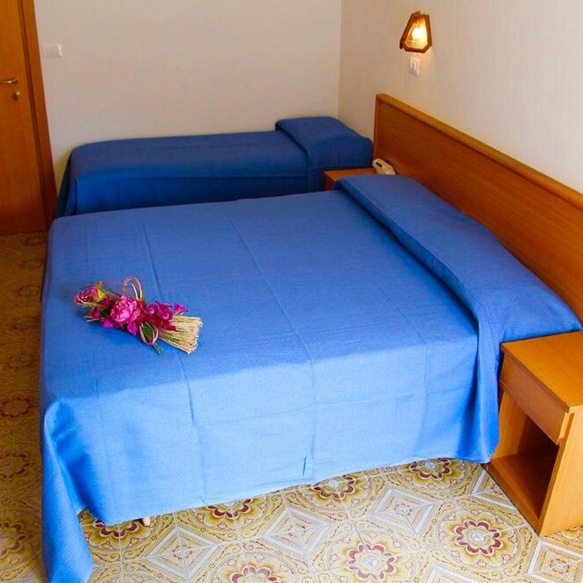 Hotel Alessi Rimini 17/50