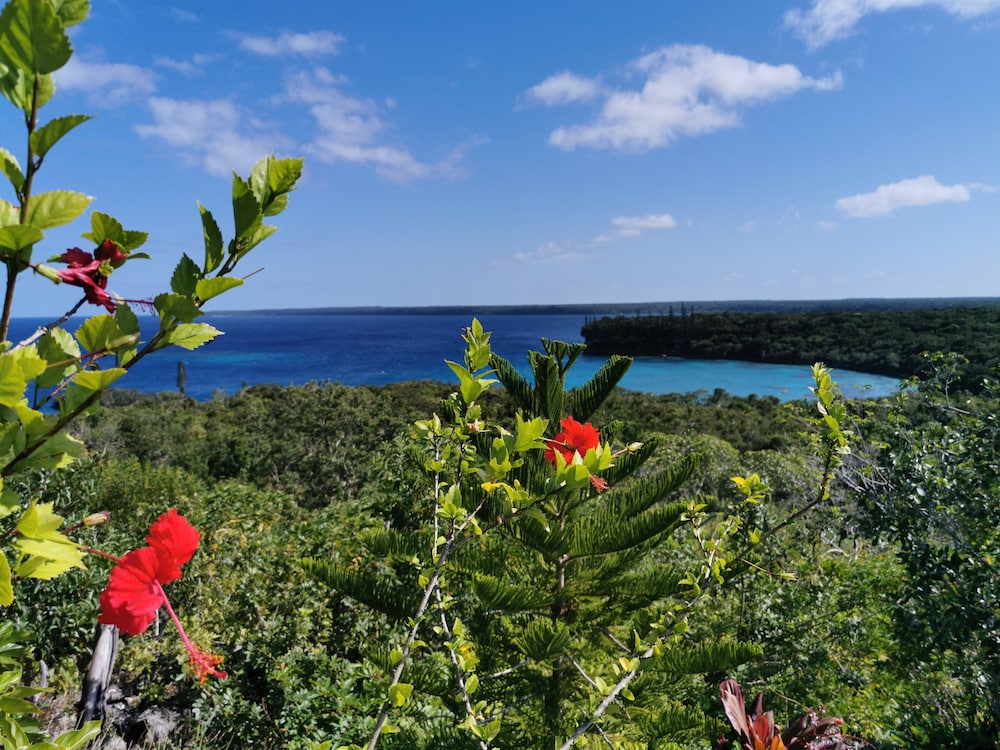 InterContinental Lifou Wadra Bay Resort by IHG 48/50