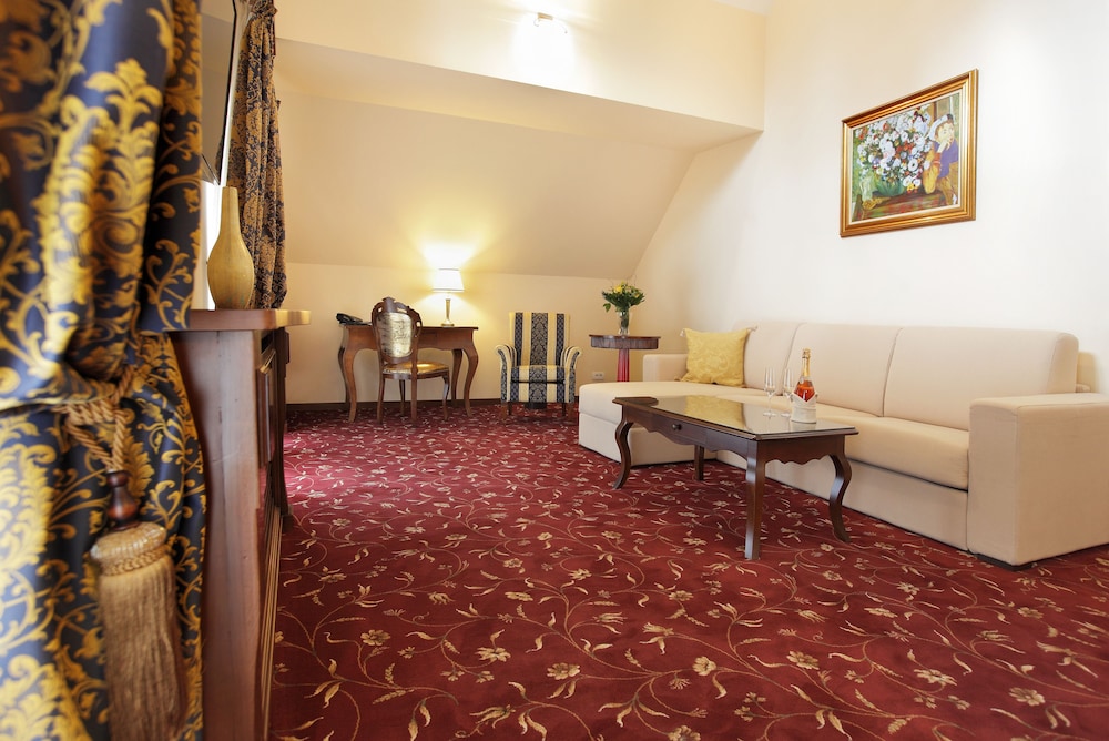 HOTEL BOUTIQUE BELVEDERE SINAIA 34/60