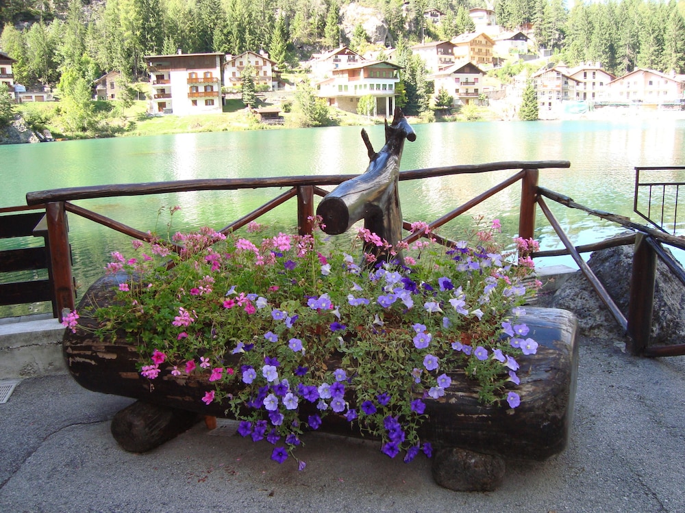 Hotel Adriana 39/44