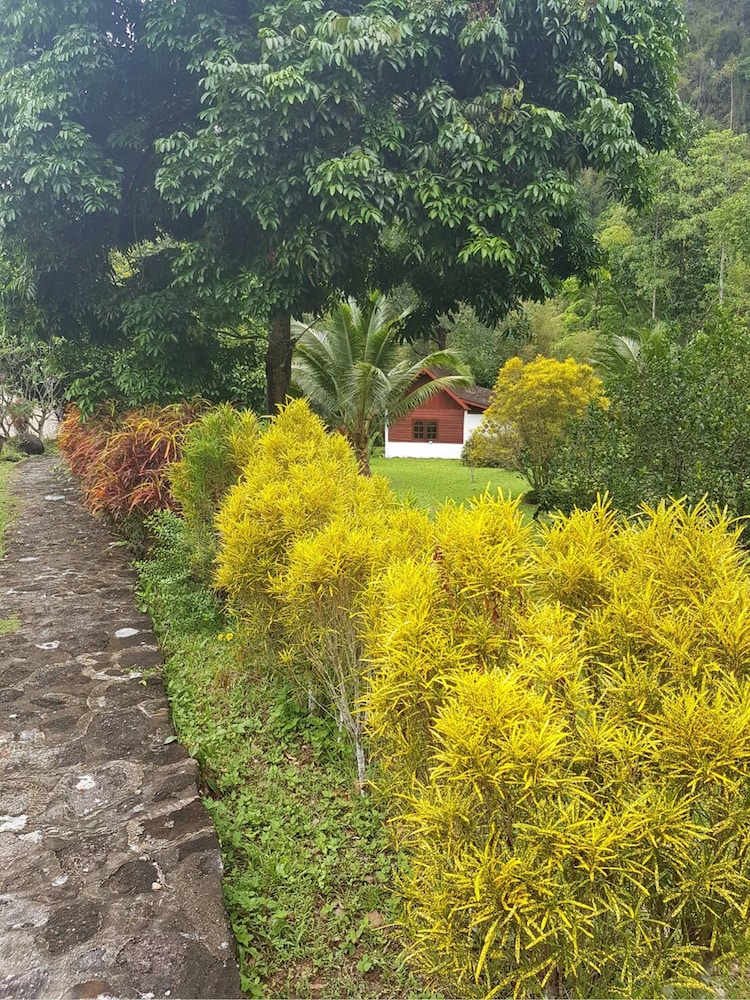 Phanom Bencha Mountain Resort 28/38