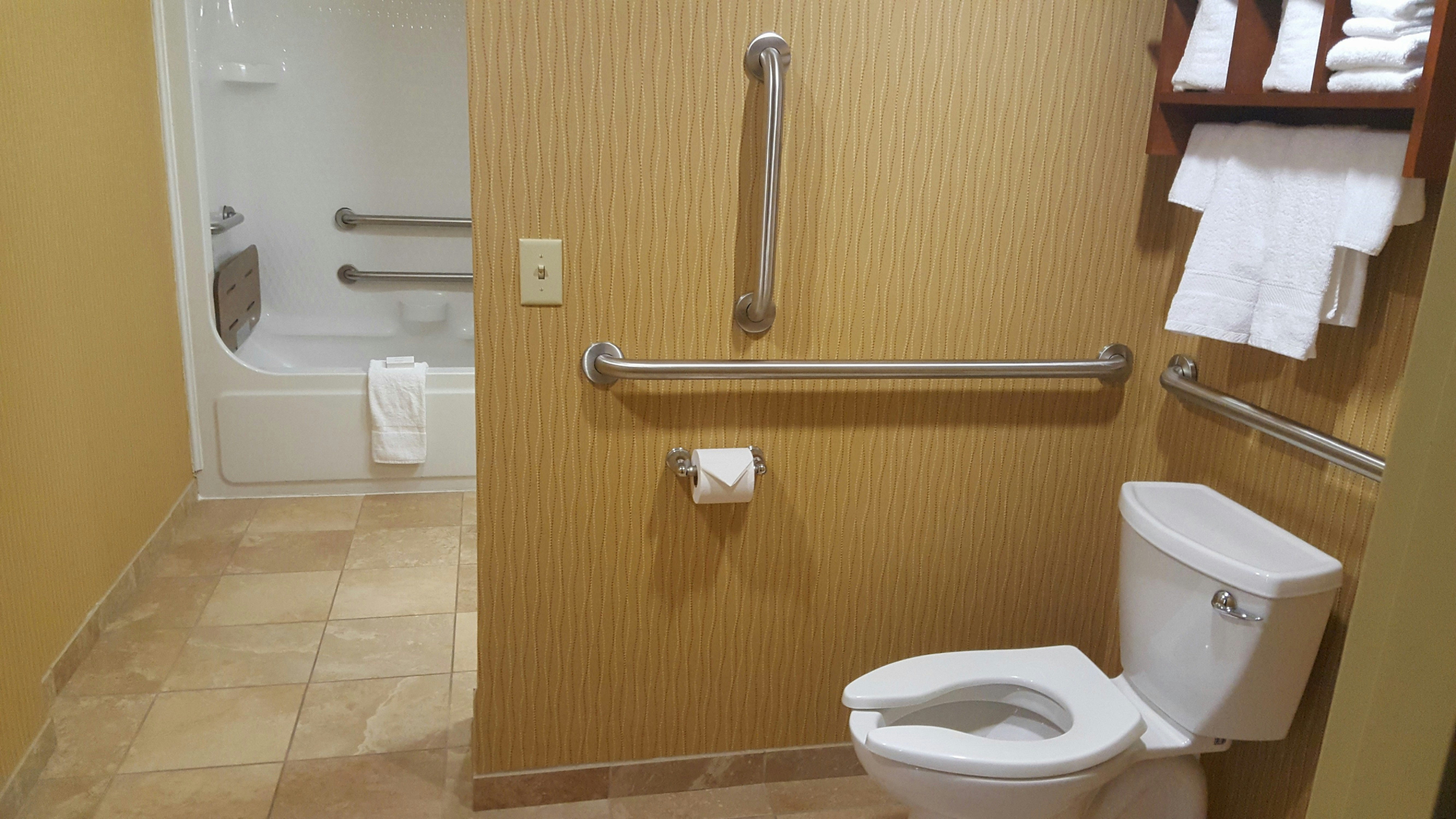 SUITE, KING BED, ACCESSIBLE