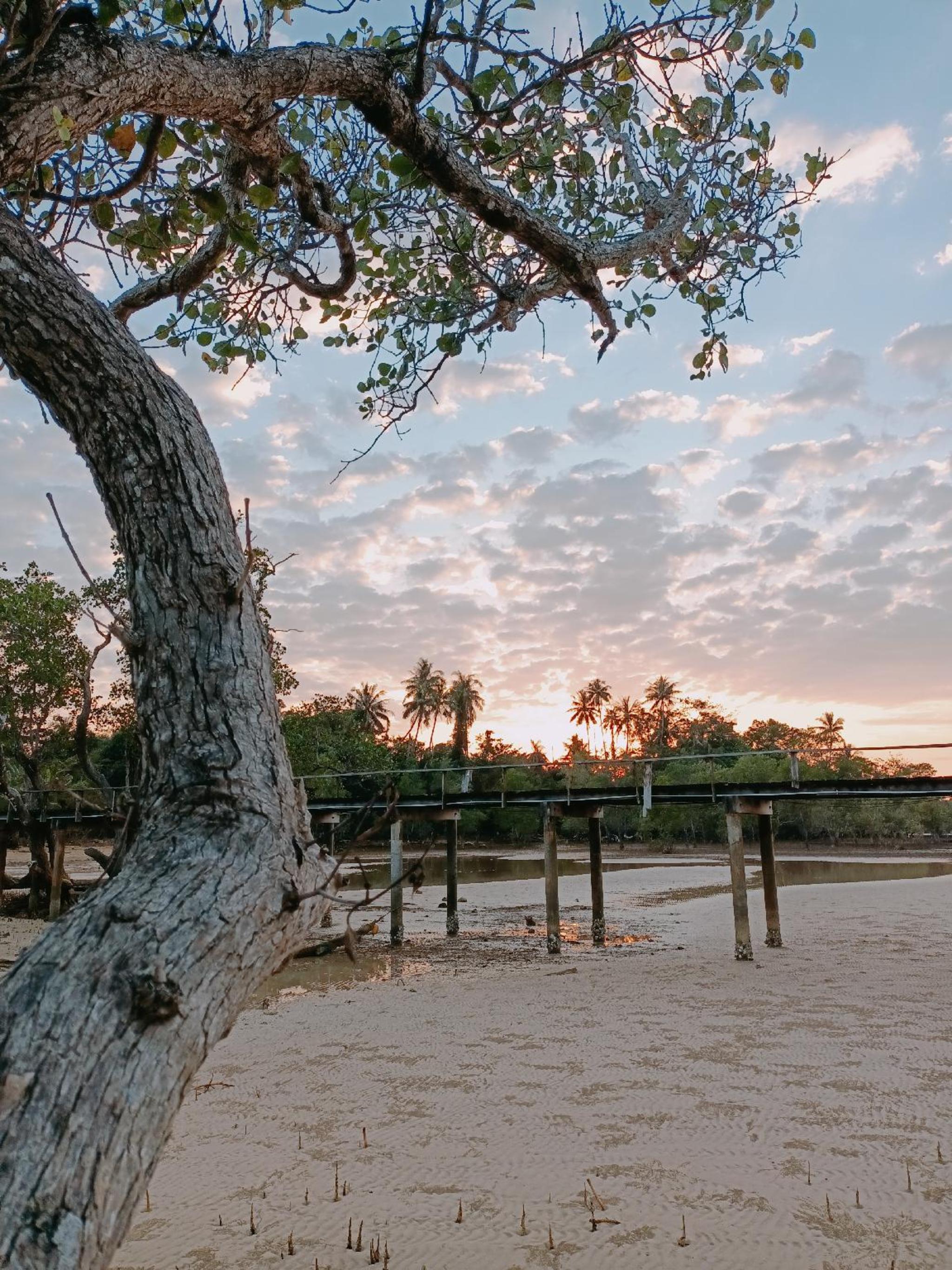 The Cinnamon Art Resort And Spa 16/22