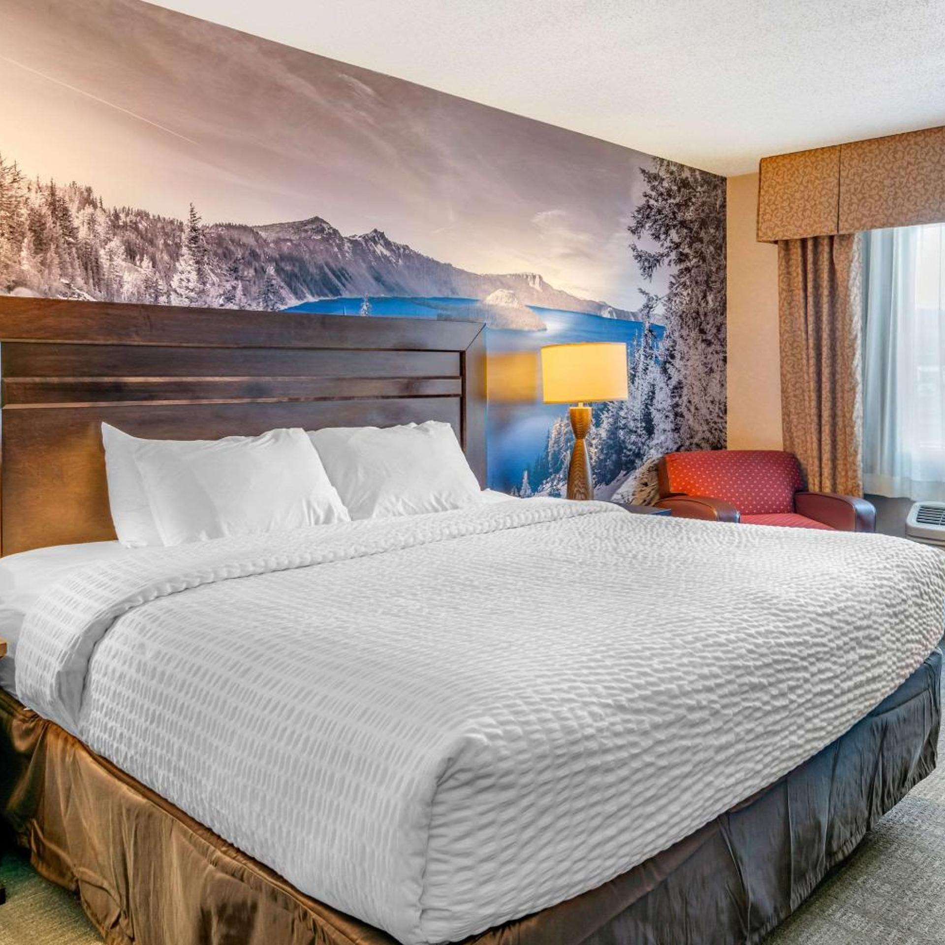 Room, King Bed, Bathtub, Accessible