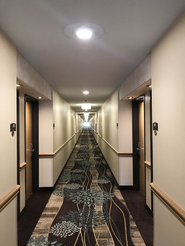 Staybridge Suites Columbia Hwy 63 I 70 20/50