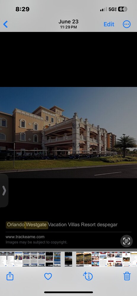 西门假期别墅度假村(Westgate Vacation Villas Resort) 图片3