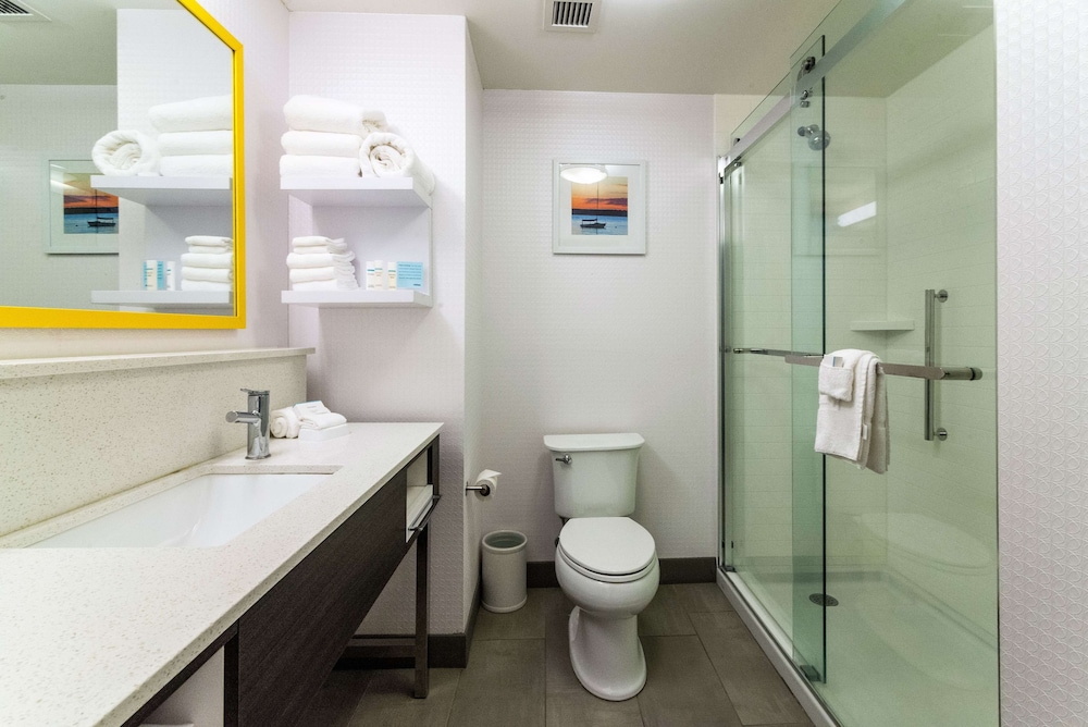 Hampton Inn Suites Allen Park 23/41