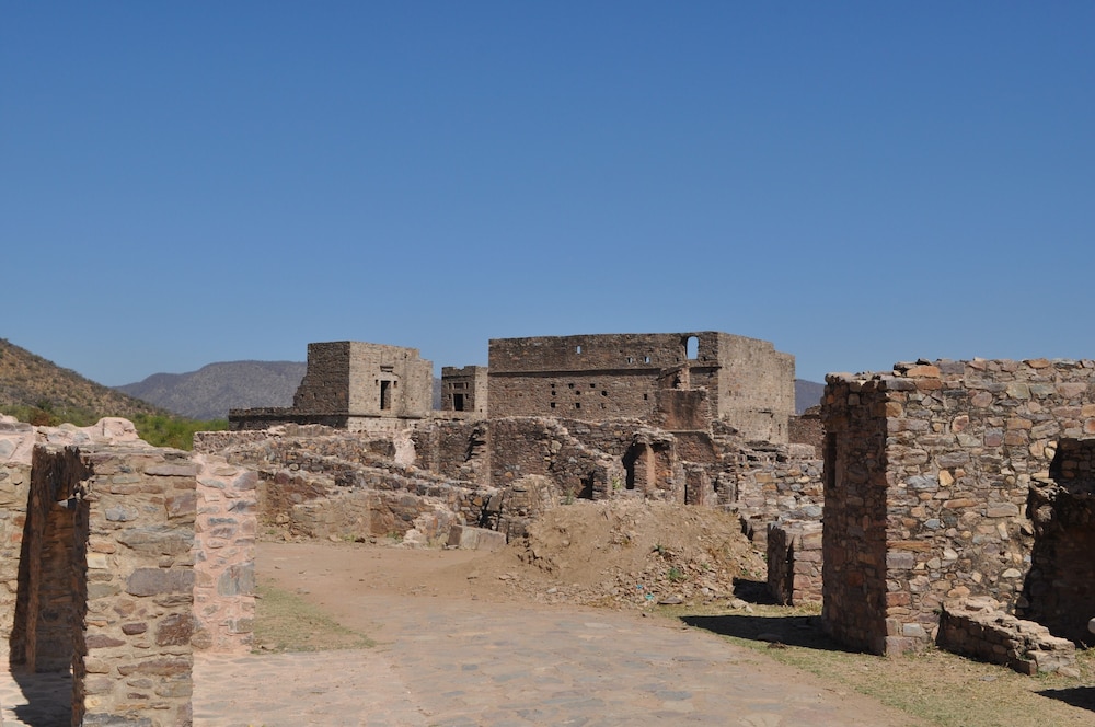 Tree of Life Sariska Manor 39/58