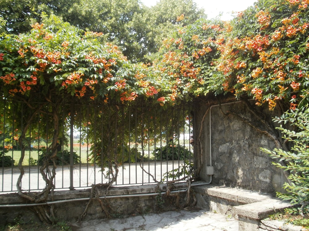 Albergo Villa & Roma 31/49