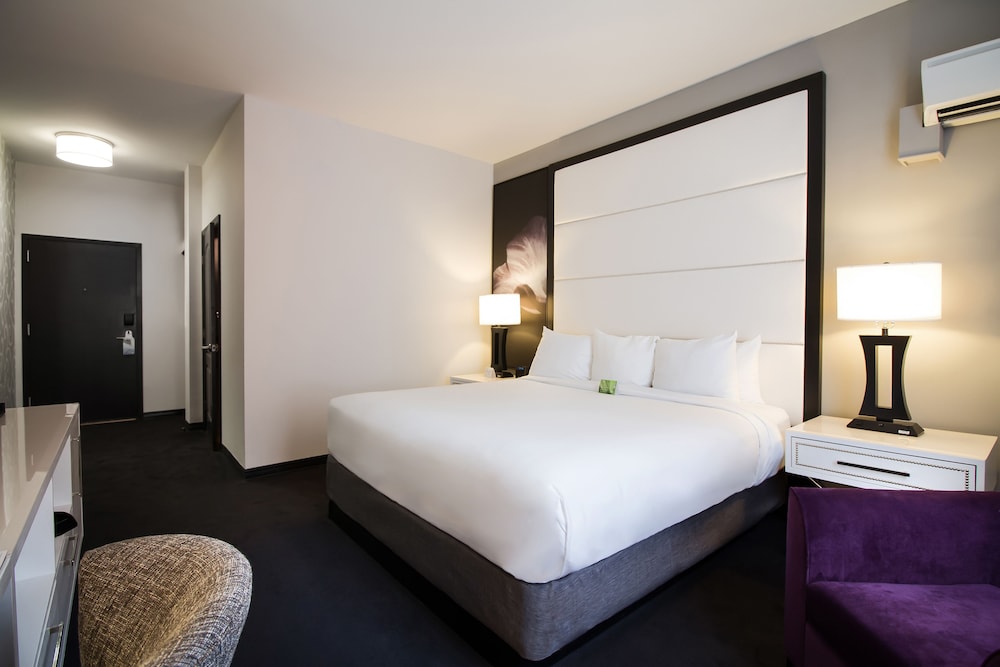 1 Bedroom, Suite, King Bed
