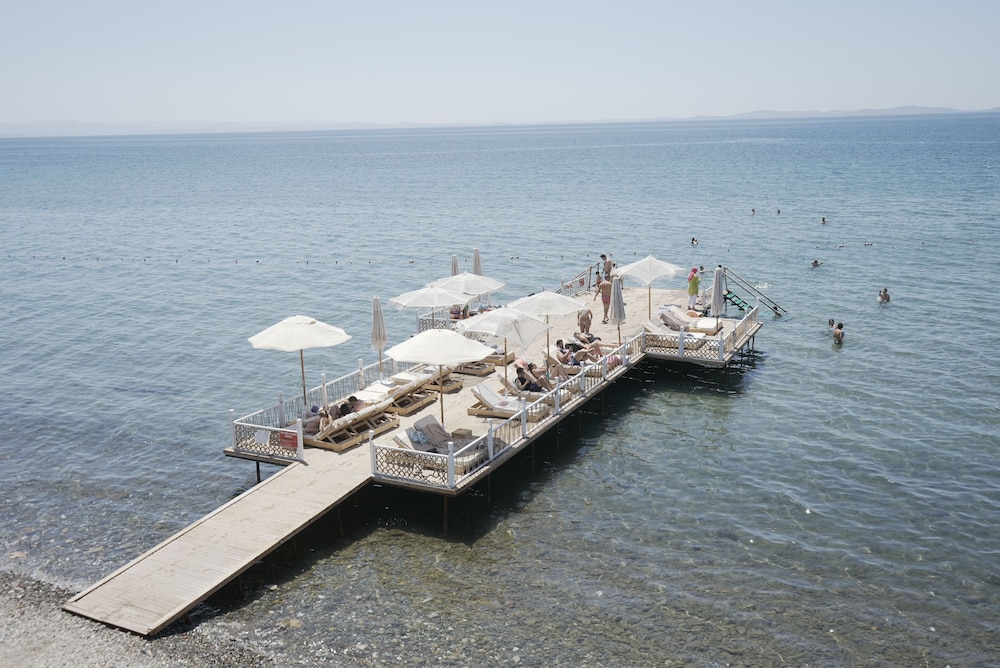 Glenn Hotel Beach 34/50