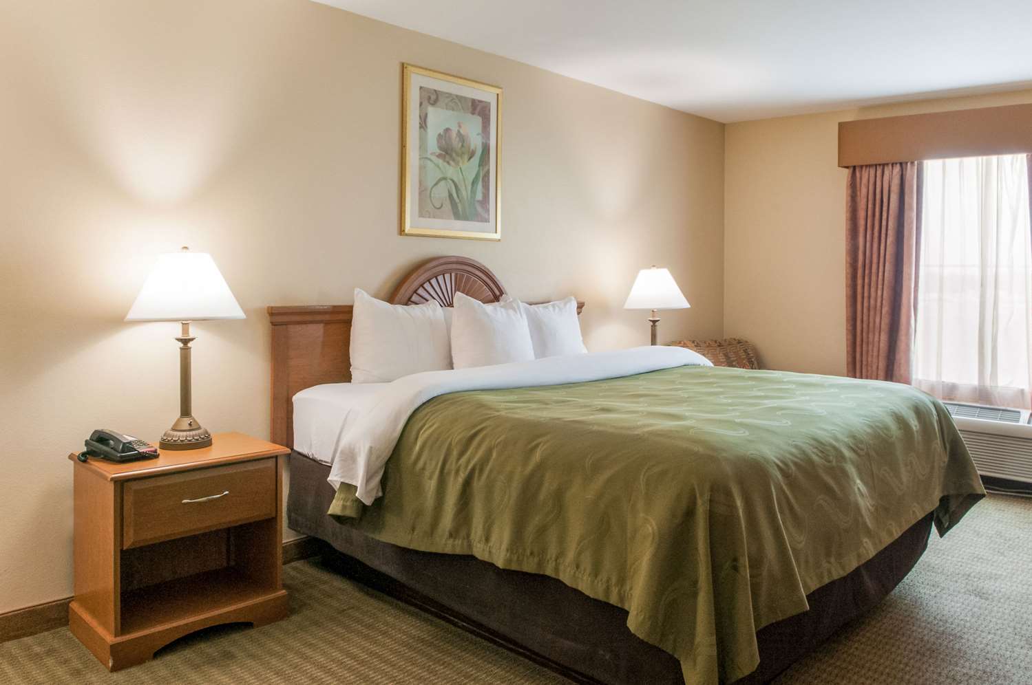 Room, King Bed