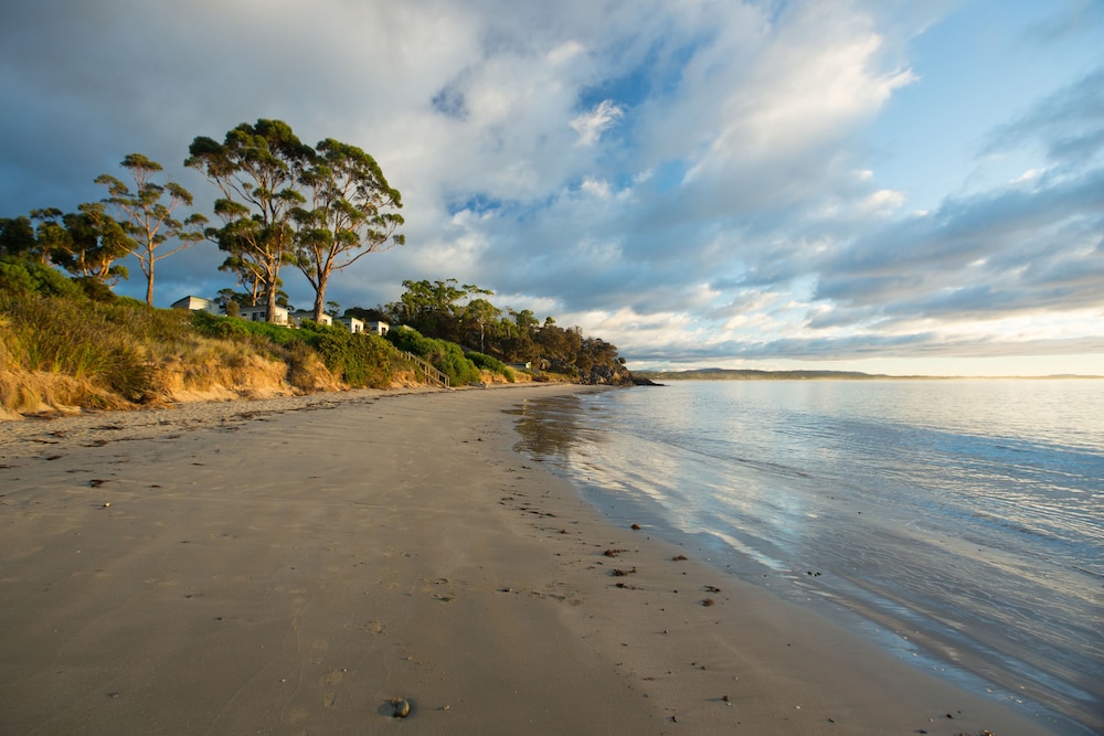 Swansea Beach Chalets 36/49