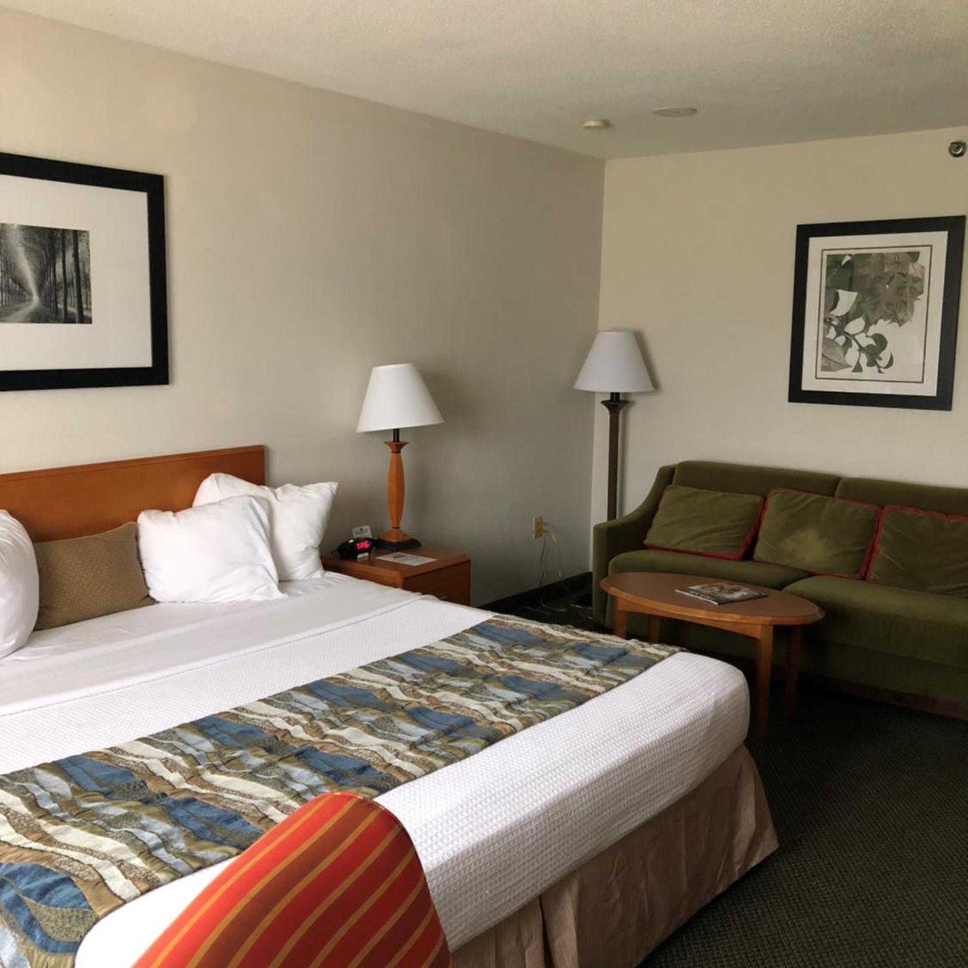 Mini, Suite, King Bed
