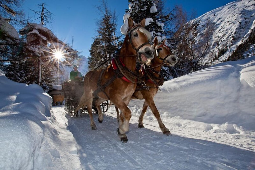 Hotel Alpina nature-wellness 31/33