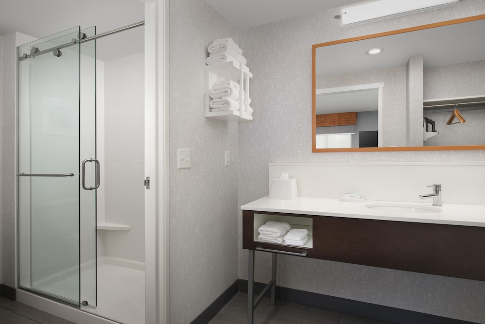 Hampton Inn Suites Rapid City Rushmore Sd 15/48