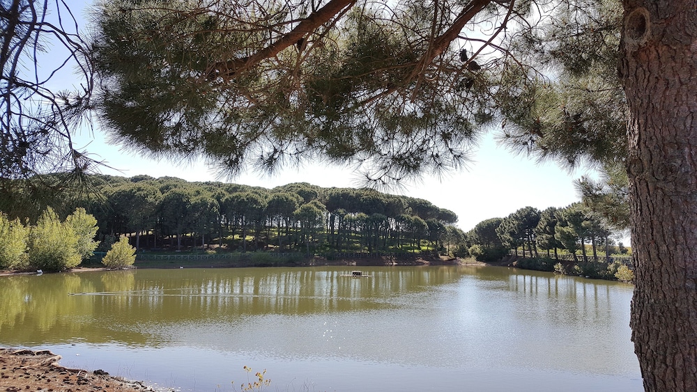 surroundings