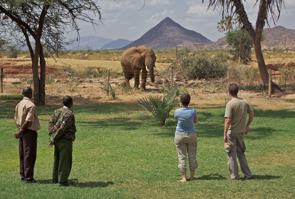 Ashnil Samburu Camp 38/50