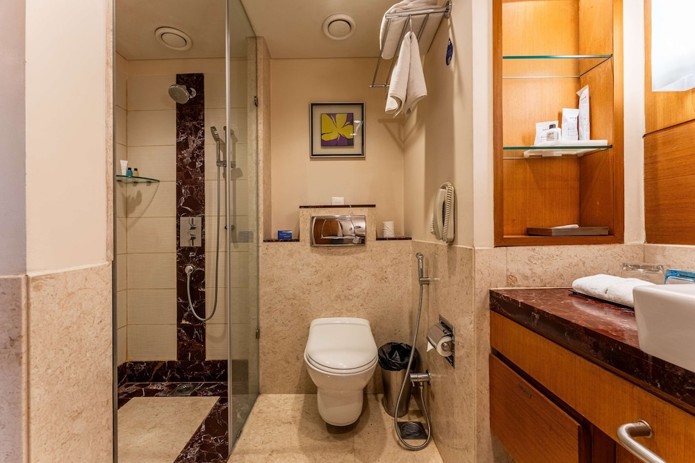 Radisson Blu Hotel Indore 48/50