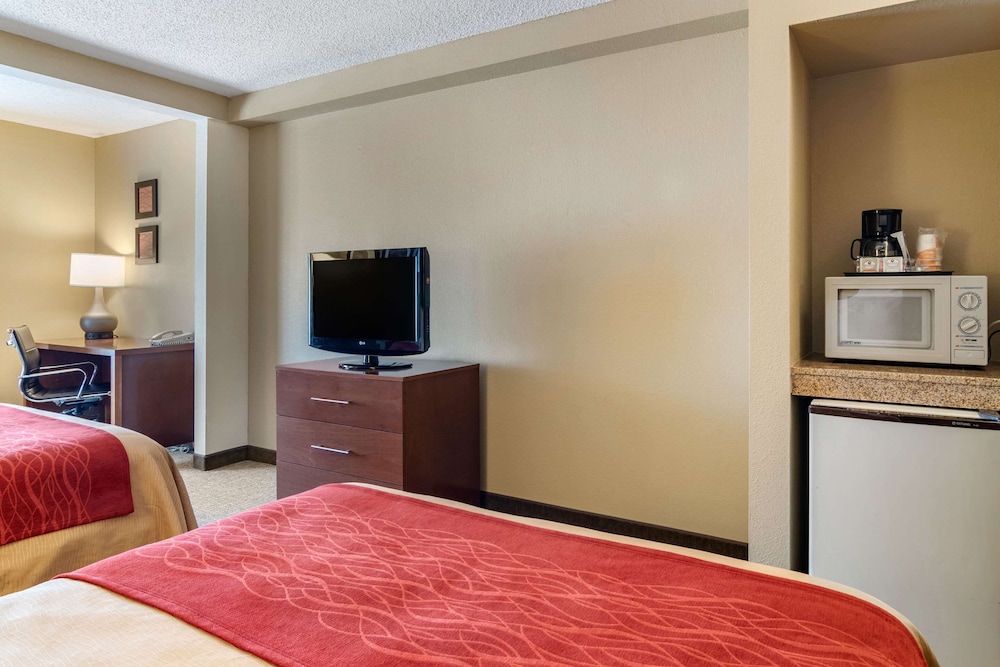 Comfort Inn Suites Suwanee Sugarloaf 9/36