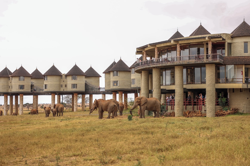 Salt Lick Safari Lodge 50/55