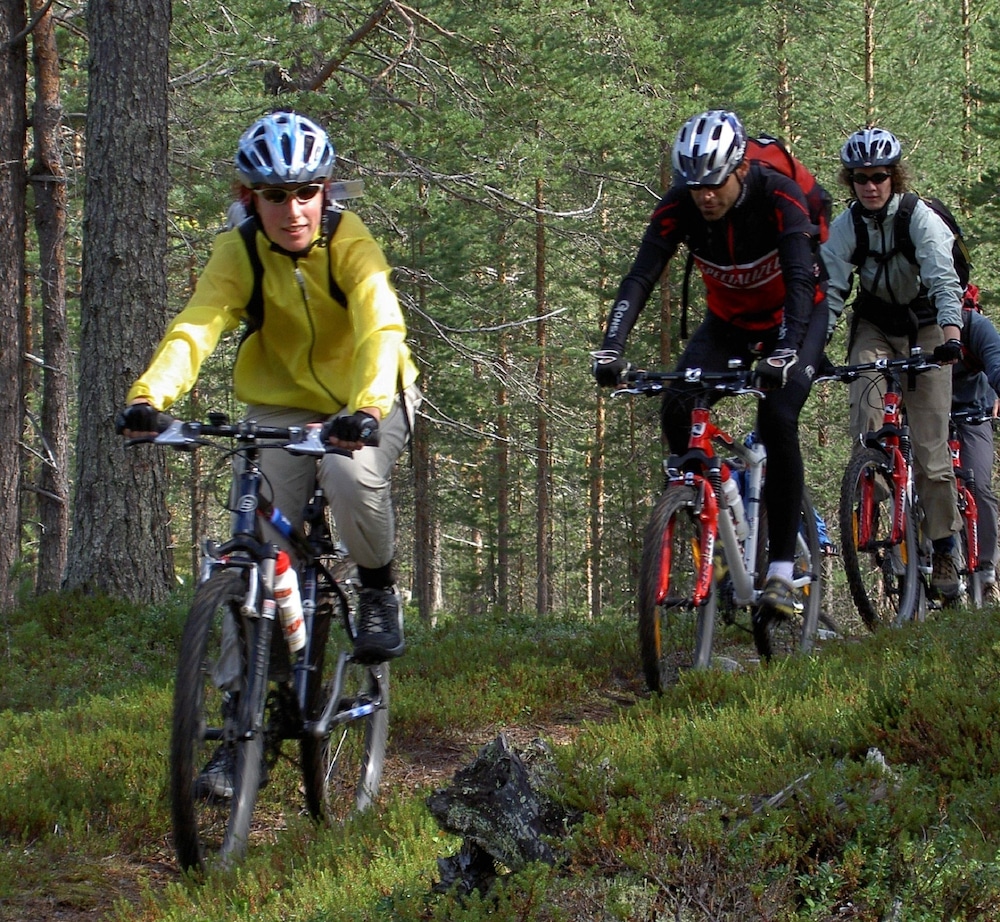 Lappeasuando Lodge 31/33
