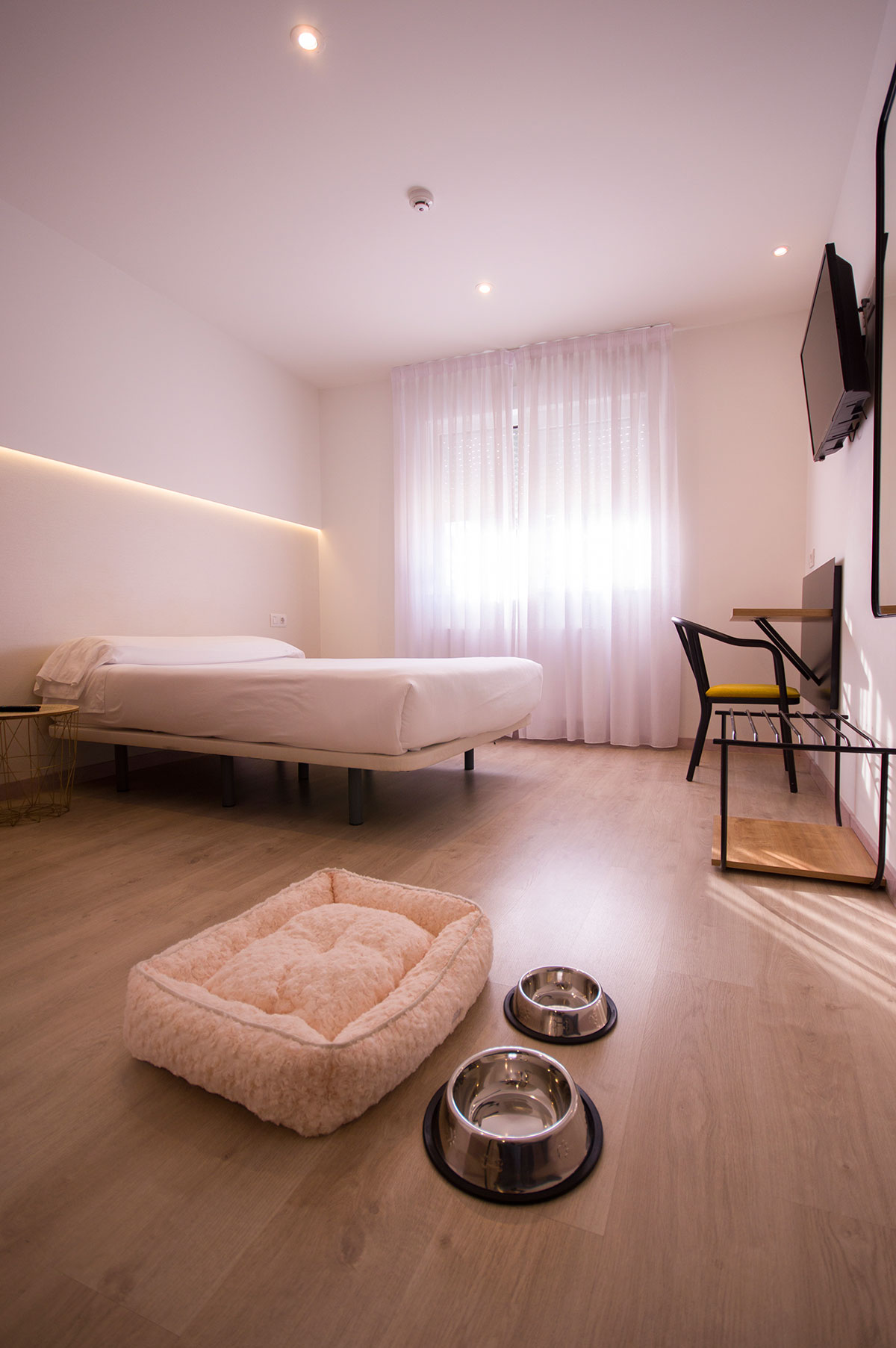 Hotel Dario Lugo 31/35