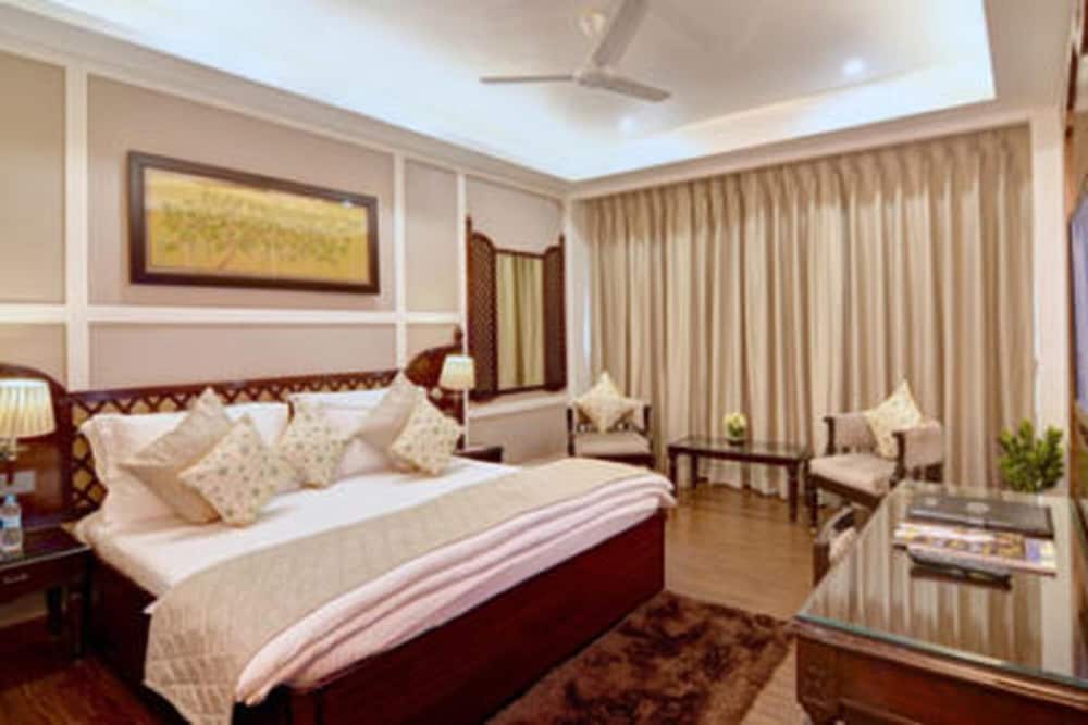 Hotel Chanakya Patna 13/34