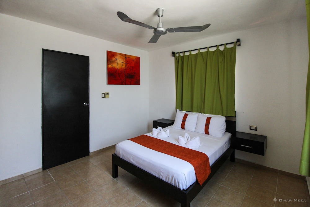 Gayser Apartamentos 18/39