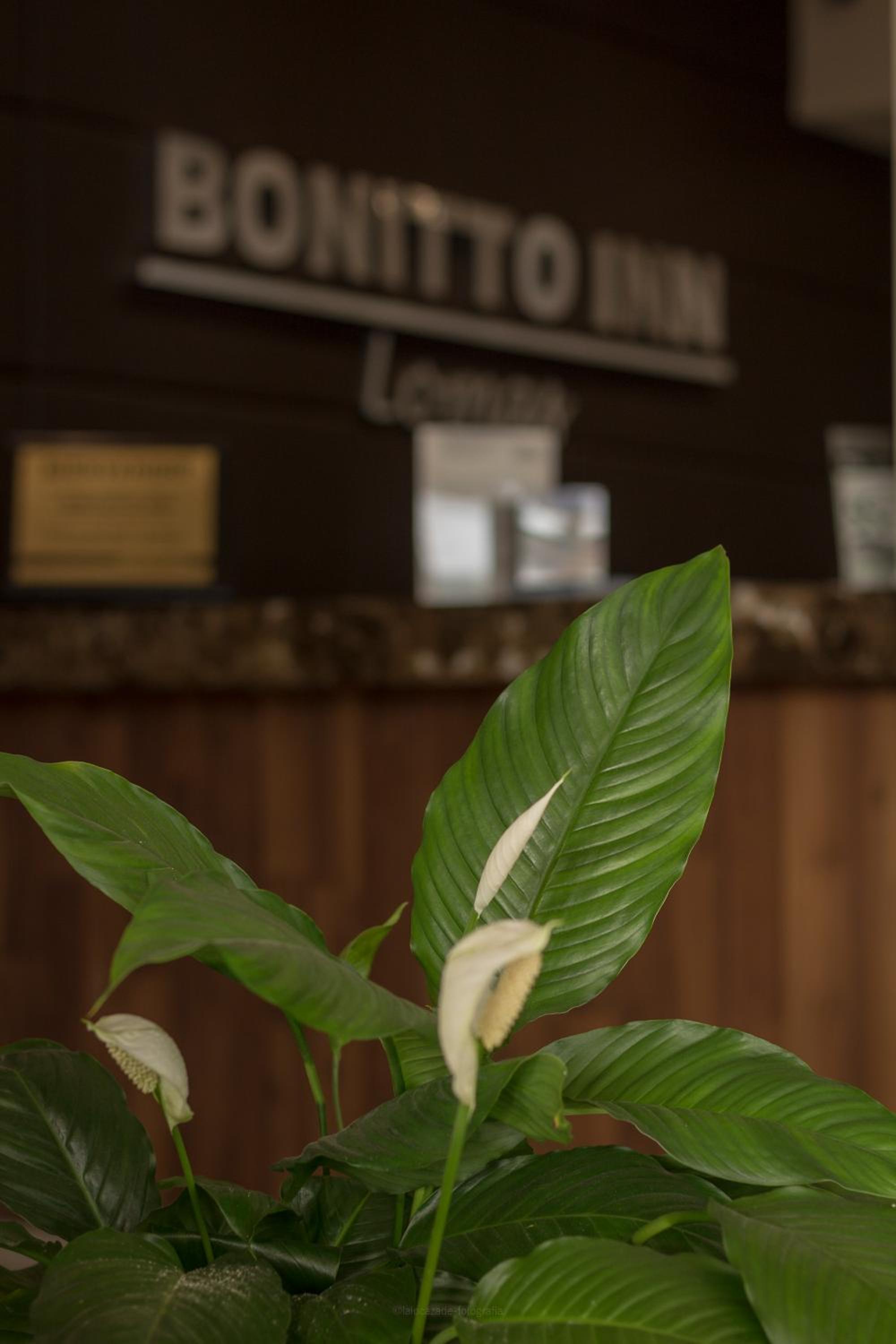Hotel Bonitto Inn Lomas 33/52