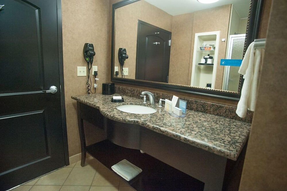 Hampton Inn & Suites Palestine 19/31