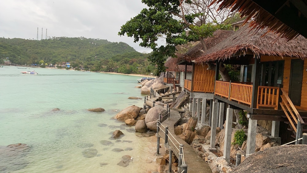 Freedom Beach Resort 44/50