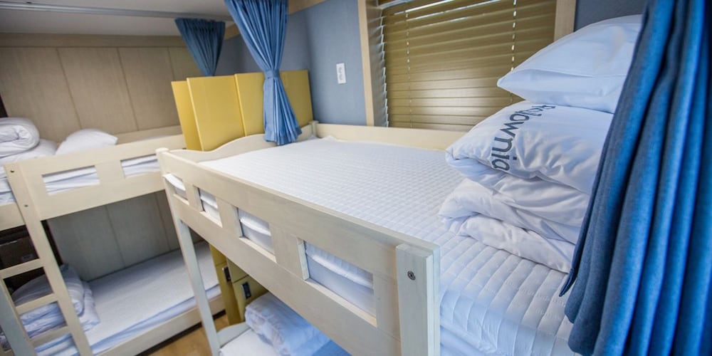Paulownia Hostel & Guest House 24/50