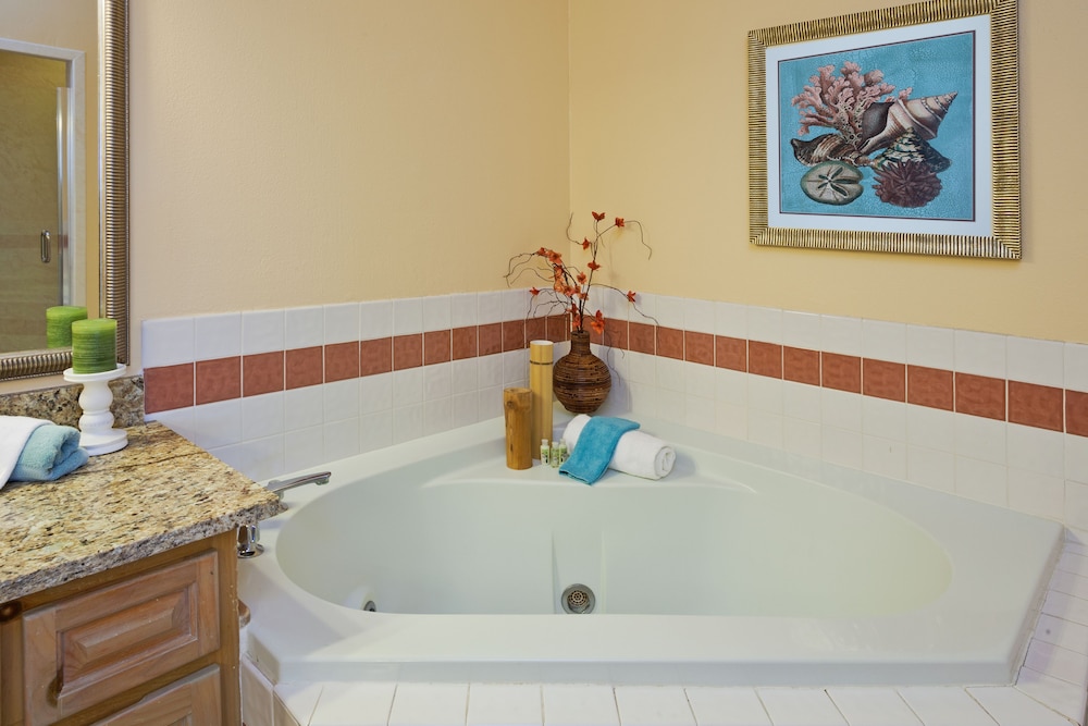 Holiday Inn & Suites Clearwater Beach S-harbourside 65/130