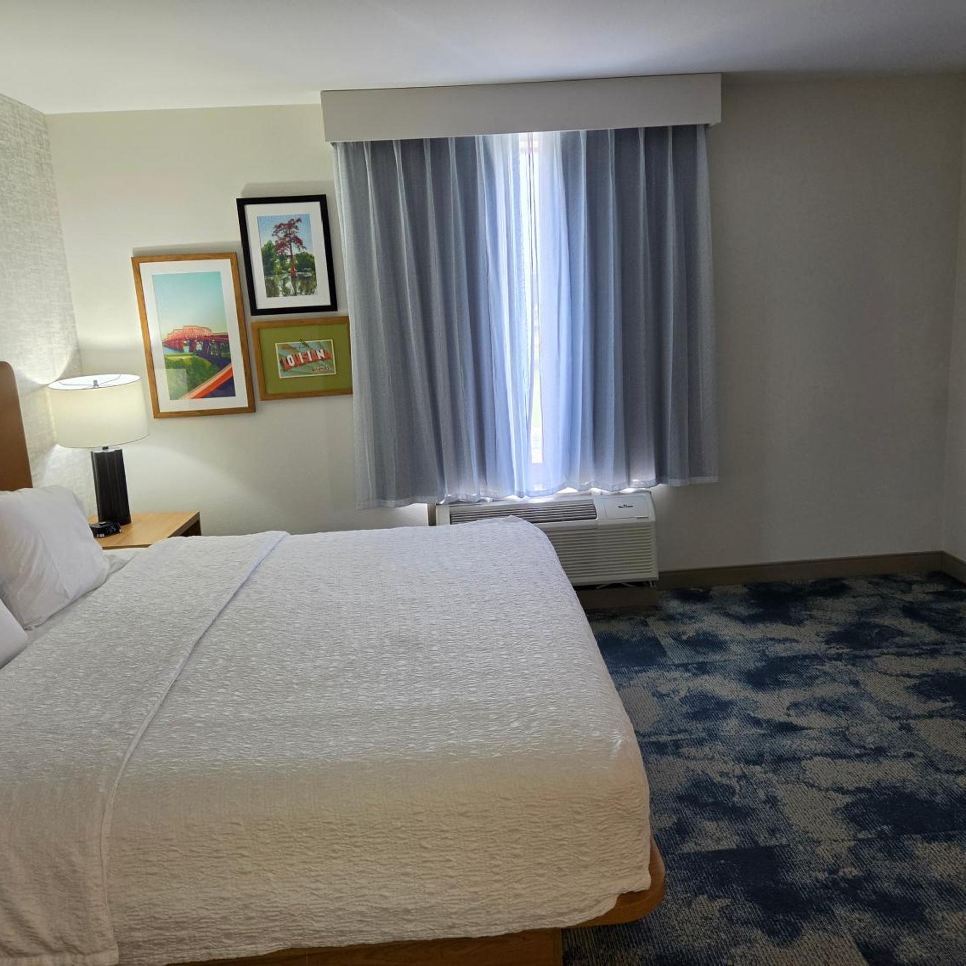 Garden, Studio, Suite, King Bed, Sofa