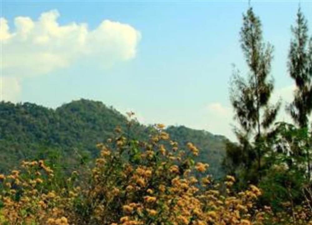 The Piano Resort Khao Yai 37/50
