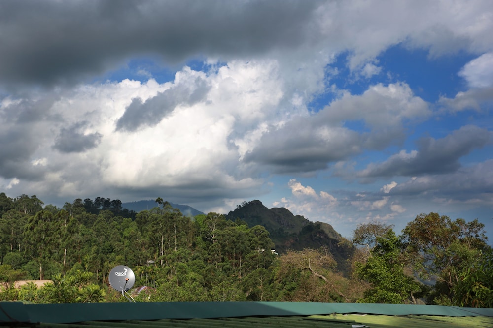 Tea Garden Holiday Inn 16/30