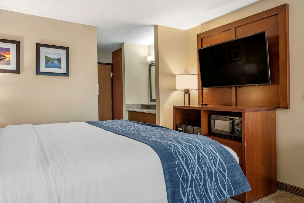 Comfort Inn Suites Dimondale Lansing 13/35