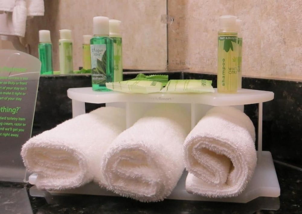 Holiday Inn San Antonio N - Stone Oak Area 17/45