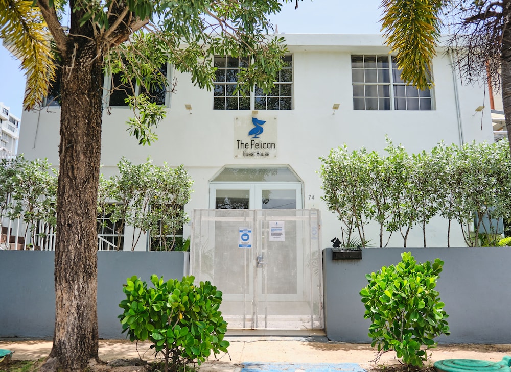 The Pelican Poshtel 5/50