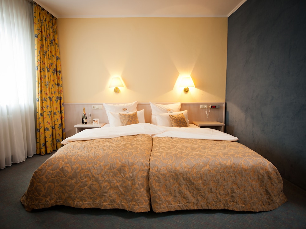 Hoteltraube Rudesheim 18/50