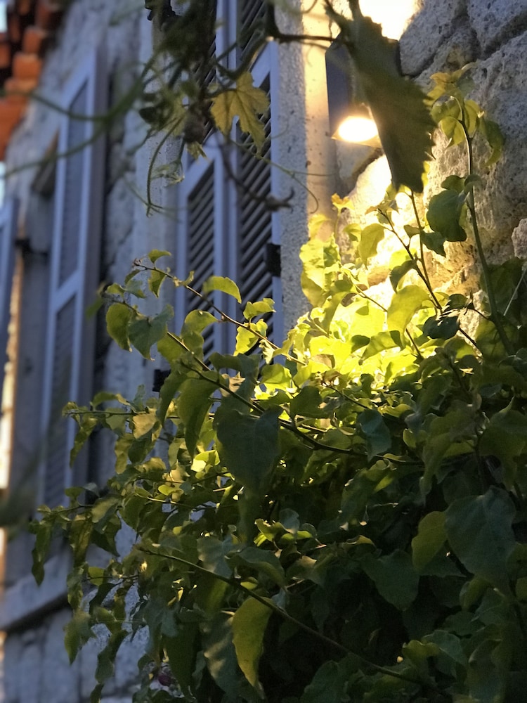 Alacati Cona Butik Otel 40/50