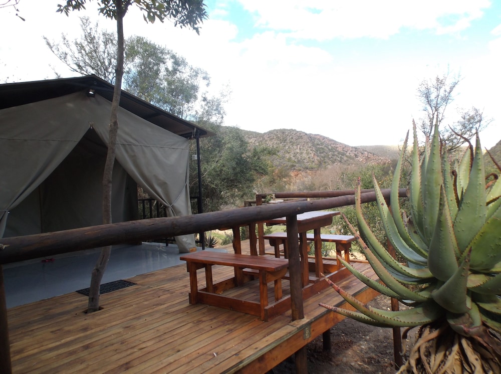 Old Mill Lodge Working Ostrich Farm Restaurant 32/40