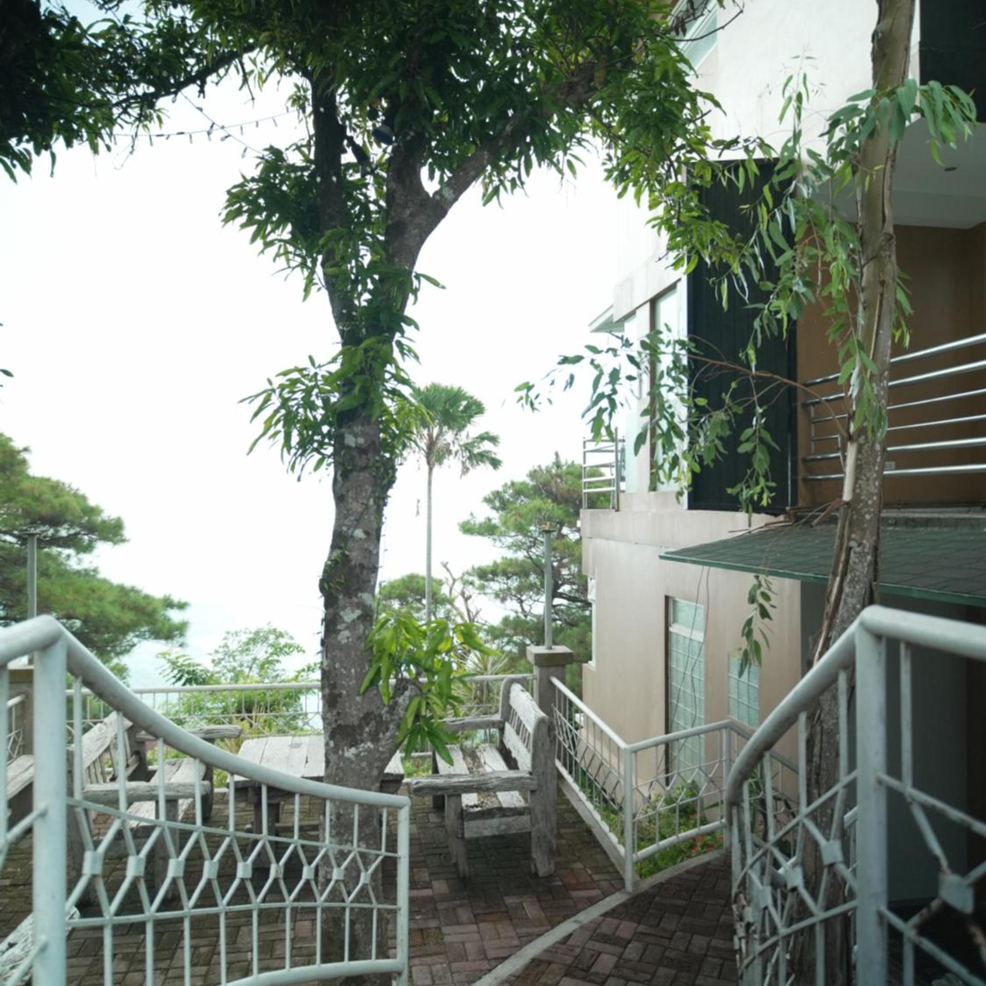 The Carmelence View 31/43